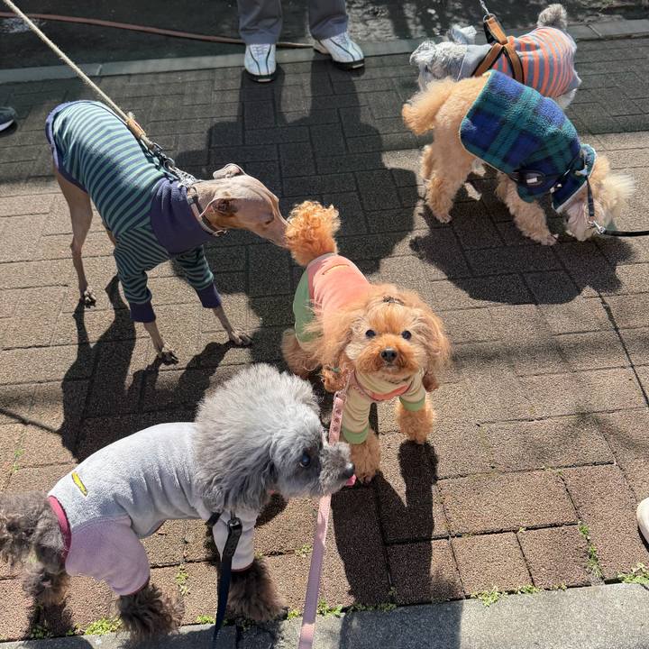 B0d7a19f c9a4 4c85 9628 2caf666bf519 1772596450808