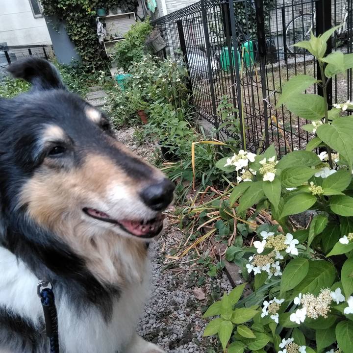 B0d7a4a1 888e 43b2 99ad efa0b5d5fb1e 1559737615340