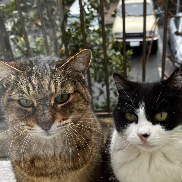 B0d7af2e 2e95 45c4 a13b bde7699bb3f9 1770597172234