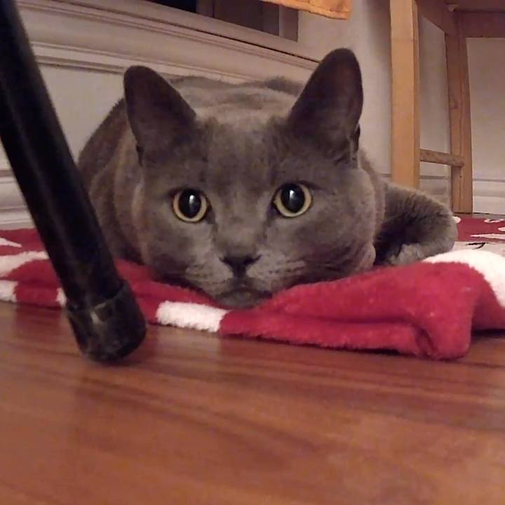 B0d7b523 bc5a 4449 a085 a26d0ffb1d19 1723425386828