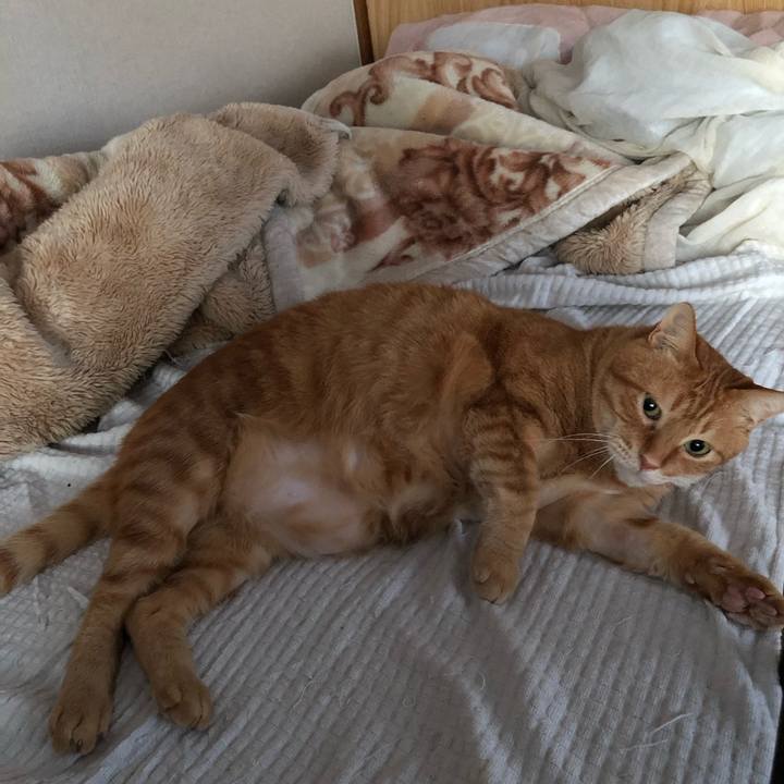 B0d7ea53 5587 4be5 b809 4a4bdad4c06f 1643666947444