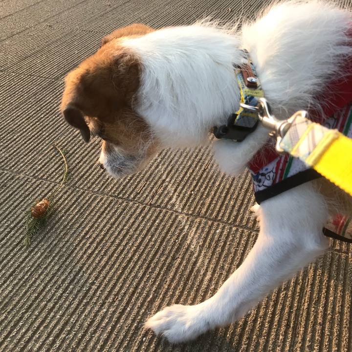 B0d80e78 875b 4f6f a8ab 49b03994fb27 1532210457652