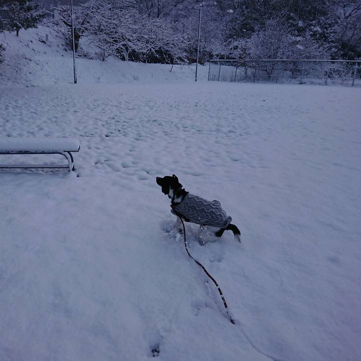 B0d81df9 a7cb 4729 a2e6 50fd009567ee 1581207387169