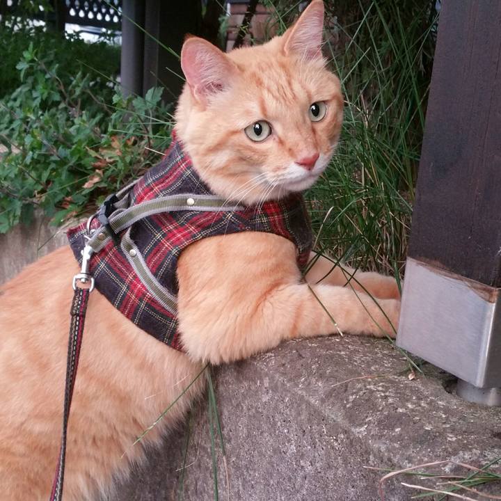 B0d82896 6bd9 4dda 9a3a 20a14d2c04ed 1565176800502