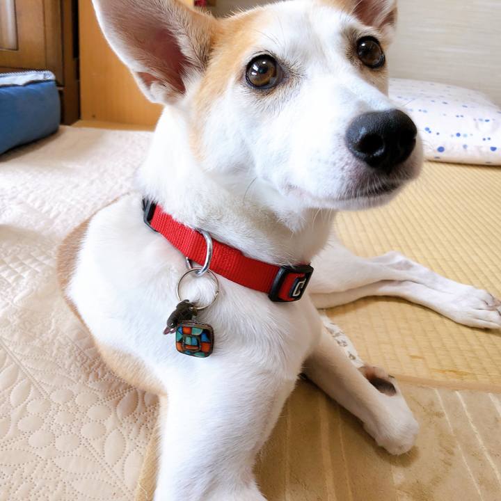 B0d83a8e 908c 4da3 b60b be519b66066a 1599663658944