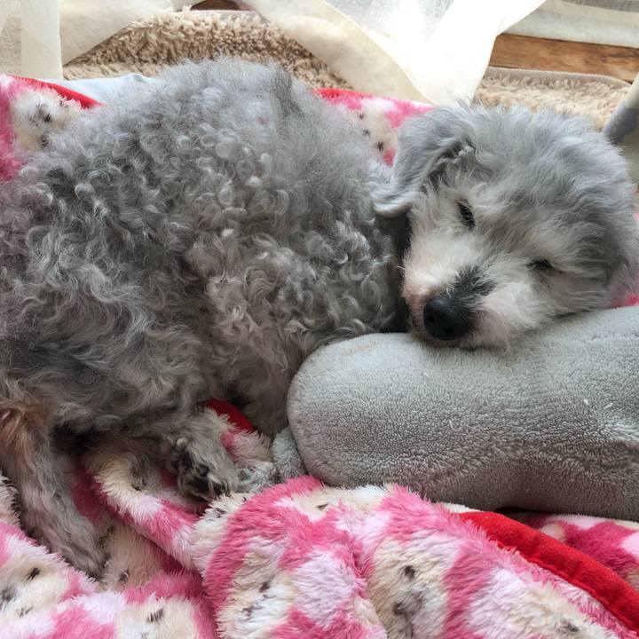 B0d84607 3adb 459b 9b5e b65bca87ec60 1648687434000