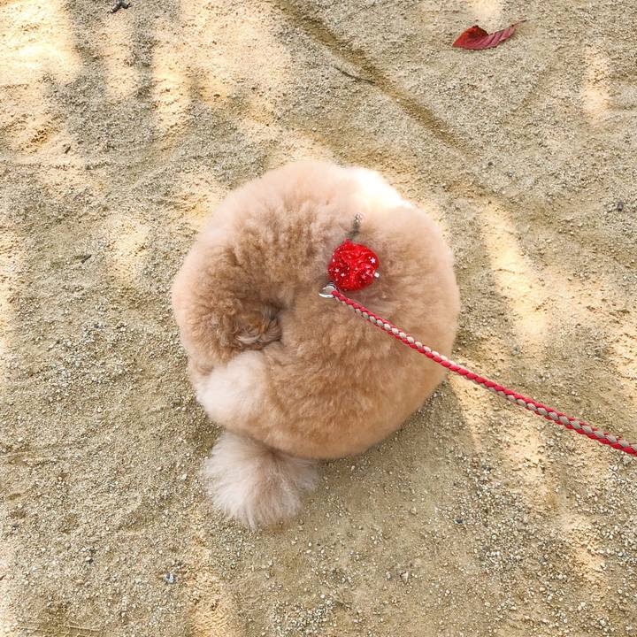 B0d892ec 0d71 467c 97e2 fb8450f6ade5 1509685615129