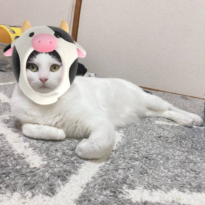 B0d895d2 6a10 41ec 919e 4c430b899fc2 1609453997036