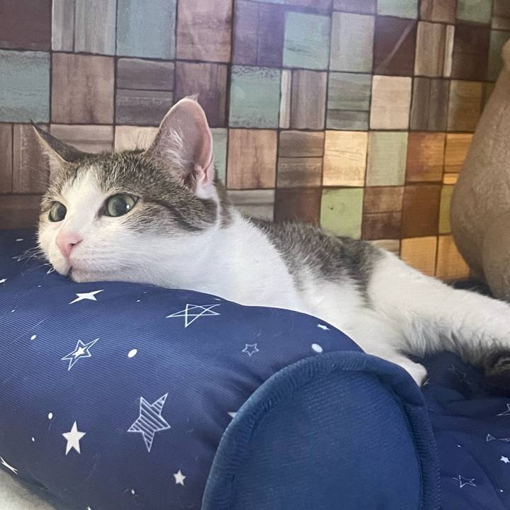 B0d8984c ee44 4a33 a6f7 51d2464284ef 1654054161291