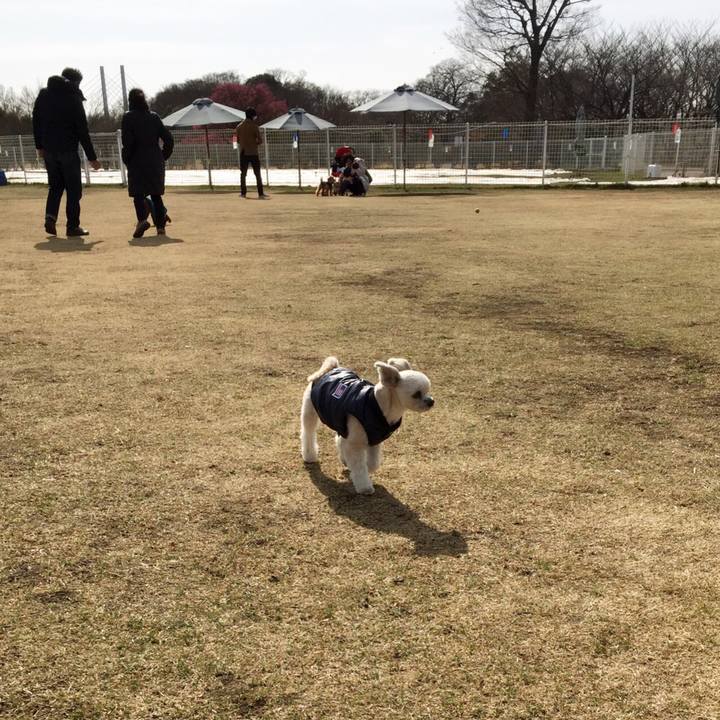 B0d8bb9b 4c60 45c6 a063 369bea7a1955 1549792322814