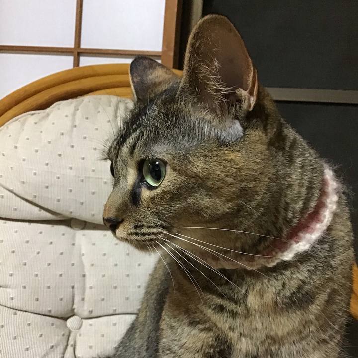 B0d8bcd0 ea0b 435c bffd ec01fa08c545 1659613905819