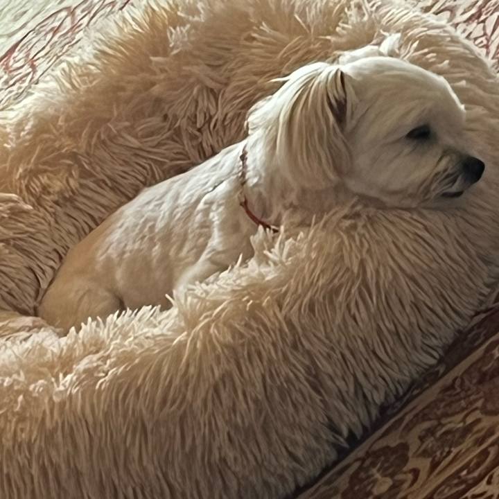 B0d8bd1c 60bb 4543 b4e2 1d611c485e27 1664156003903