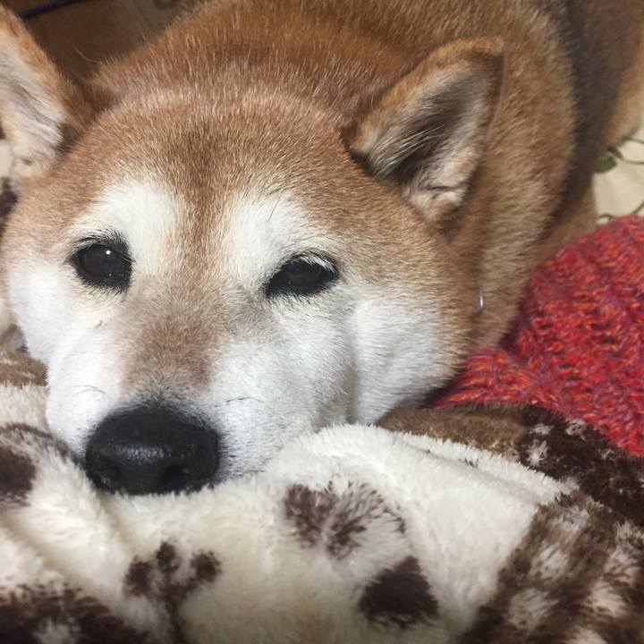 B0d8d073 8621 4079 869f beebf2412d54 1515422877449