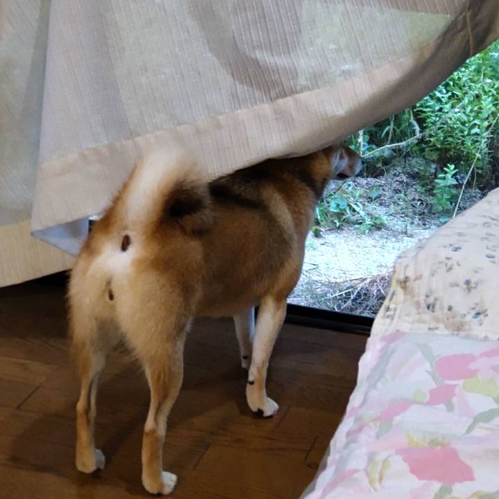 B0d8f271 4890 4d1e 8111 75448a92f1c3 1628931056866