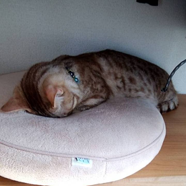 B0d9060a 0596 4e10 8236 075d1c00ca5f 1614596321013