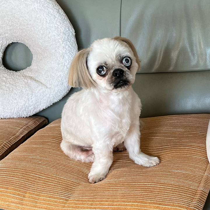 B0d91002 eddc 45ee a975 05eb48e597a7 1654326425764