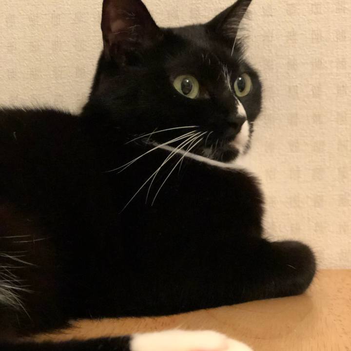 B0d91a2c 3389 43f8 bc8e 199e058bcee0 1570055670113