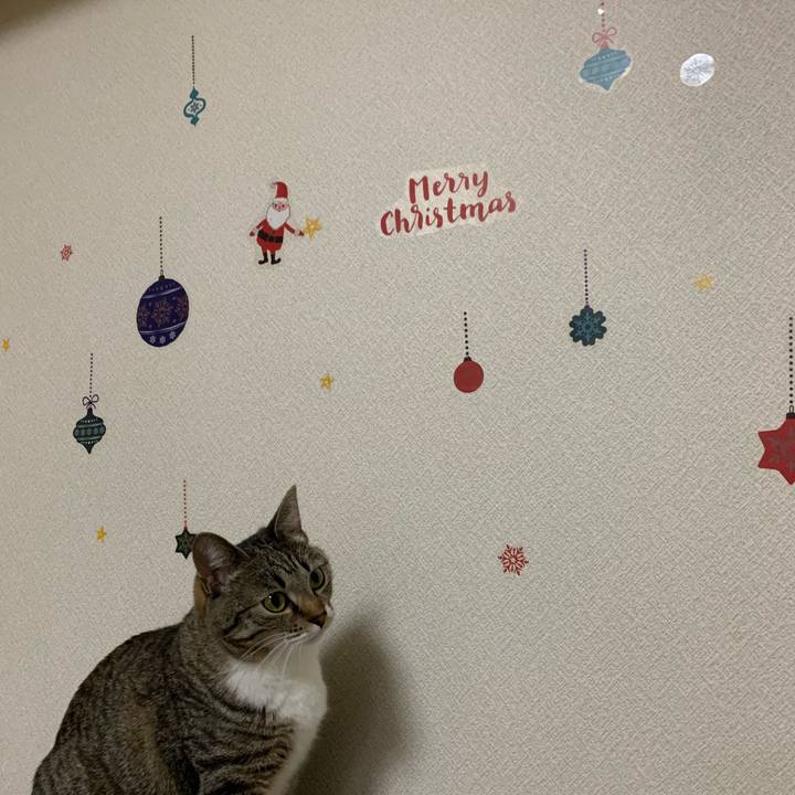 B0d928bc e023 4f96 8886 4b6589b458e0 1575418495622