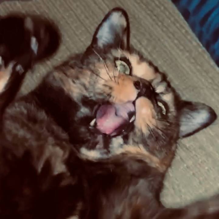 B0d945a5 0d80 4ff5 aa3a b2dc78365a86 1759522028910