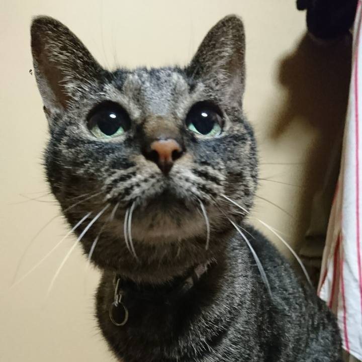 B0d9b3fb 8eab 4b23 b446 41d061f49131 1613232396254