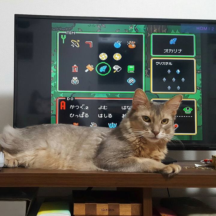 B0d9b6ea b16e 4688 b3dd 9ef0cdbea0f9 1561463002852