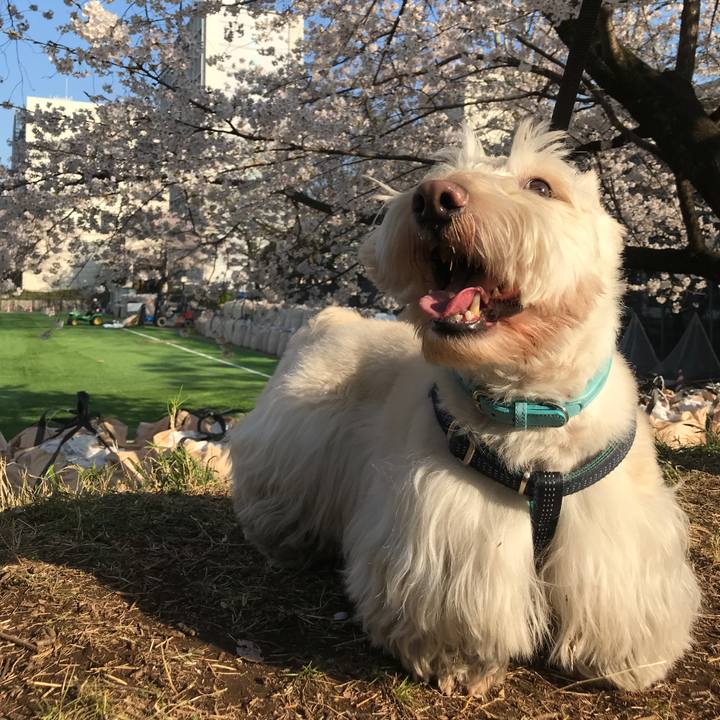 B0d9ff02 6243 4e74 8c1a a14baa100d5e 1585376663050