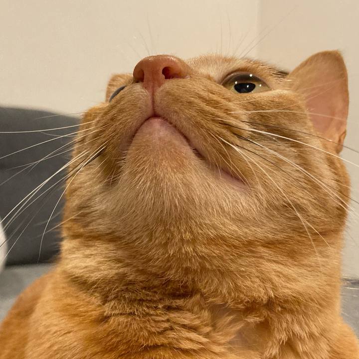 B0da5415 6bf9 4029 94e8 08ef80a8b880 1616325813955