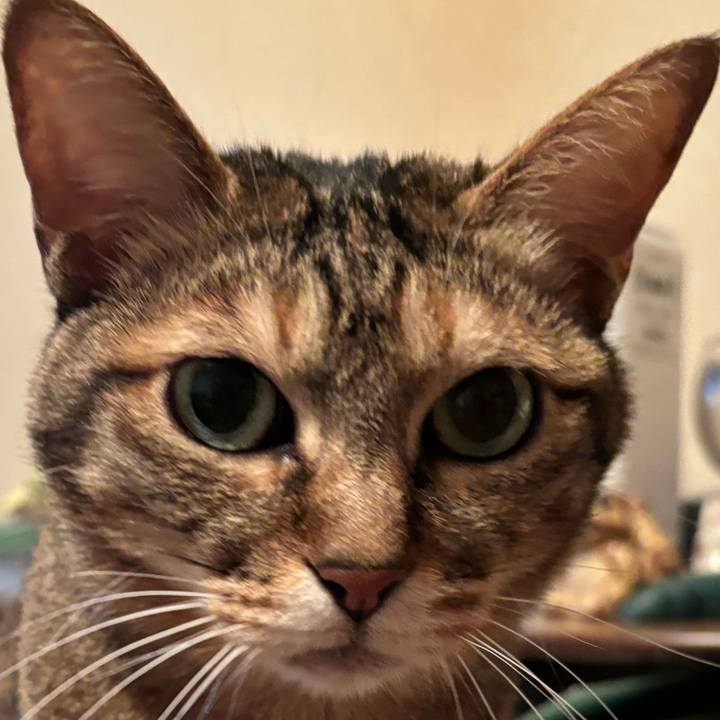 B0da6931 3bf7 48cd 9d14 21f37dc74994 1708777359500