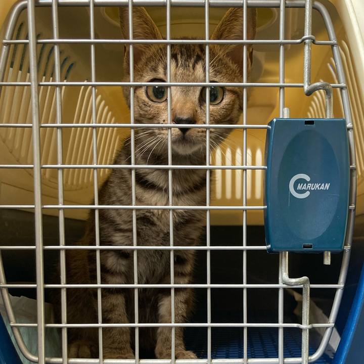 B0da98f0 4406 4f46 bcb1 cee989120664 1661557312820