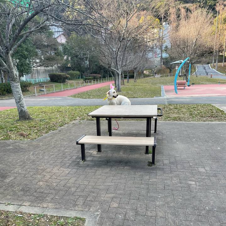 B0dac5ae 674c 474a b8f6 aa5d4da52674 1642580319707