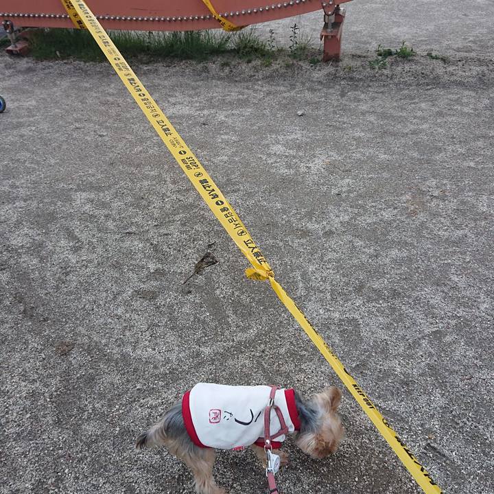 B0dacfe6 0d55 4106 be67 e38a1471446c 1588079053504