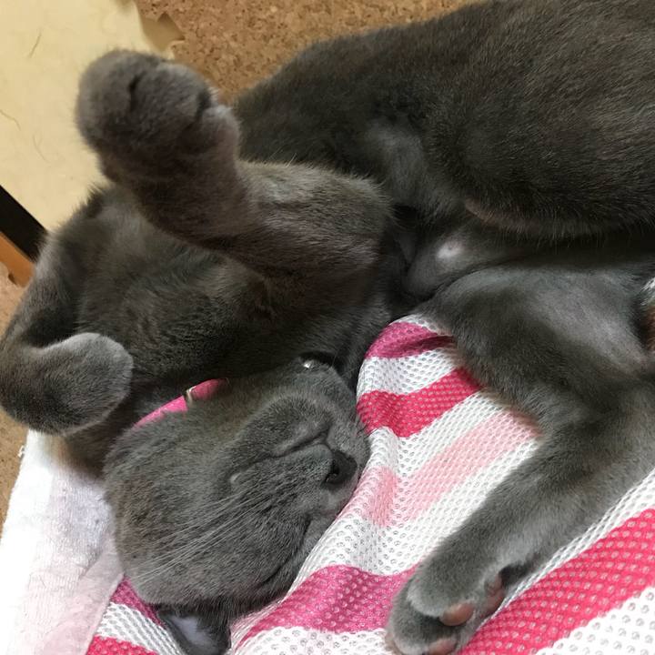 B0db032a 8821 46d0 be66 9aa4dac37bdc 1529326290776