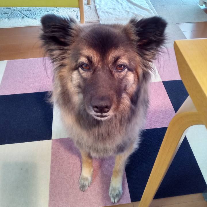 B0db44cf 5cde 41a9 9ab3 1e6918aa2be9 1766278888436