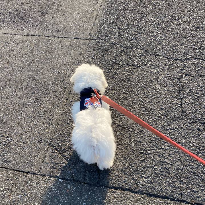 B0db47a5 2785 4712 aff8 d44820484e0e 1747699997369