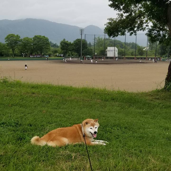 B0db4b83 7ebc 4e91 89ab 20048898bd43 1720920830195