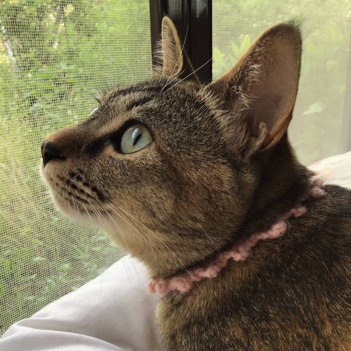 B0db63d7 15fb 4119 a937 79222bba5e24 1591080259161