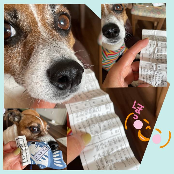 B0db7dd3 3506 4431 a714 251a854711e2 1740624190956