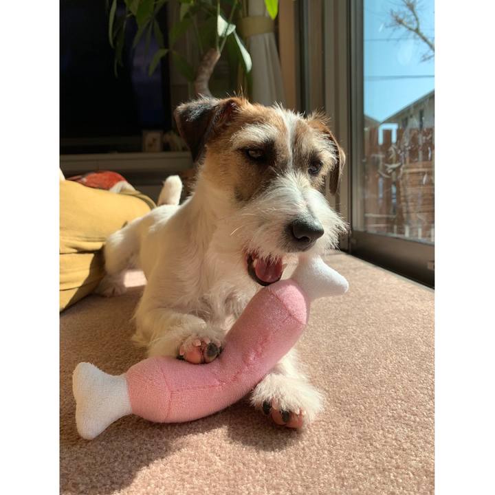 B0dbb344 af8f 40fe b6b6 cdace8767731 1582540418185