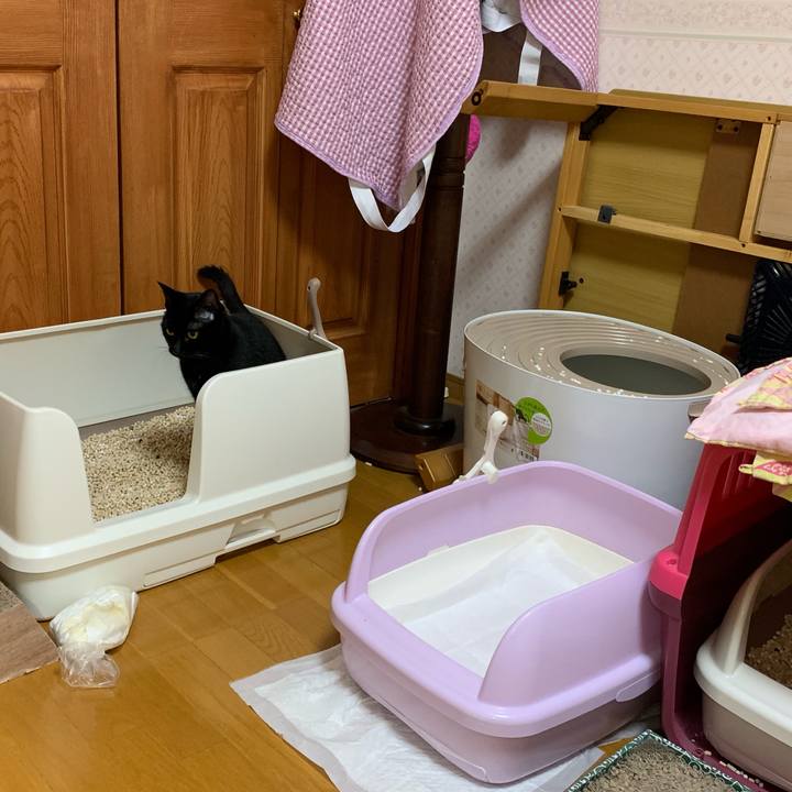 B0dbb522 39f6 4000 b95b 8e610ed16329 1565449126555