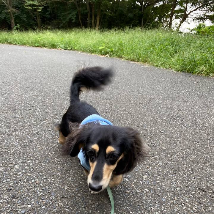 B0dbba77 5172 4f91 96ff 8e888478b190 1695858773004