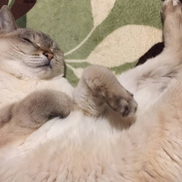 B0dbd2b9 9af3 4a88 b0c6 30b5949cdda0 1587382832773