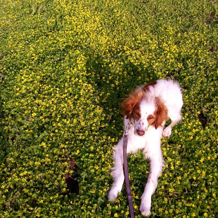 B0dbf02f 4250 4d48 899b 1cdf579d0c41 1522840853122