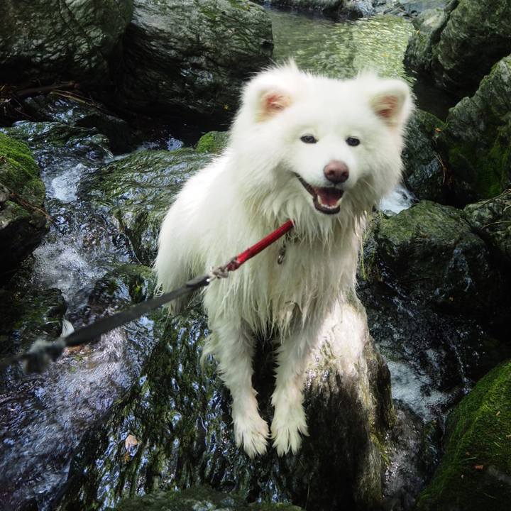 B0dbfb0e 4e46 4f21 ad22 e6bcfe9a6307 1531569834037