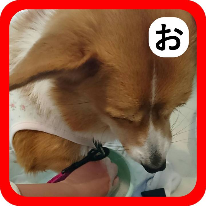 B0dc054f 0bc0 4e4e a4cc e413f9b953b7 1514948263499