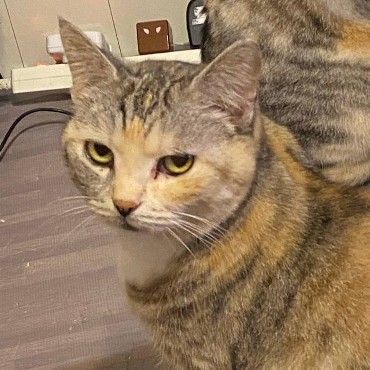 B0dc1373 a0c5 472c a9a7 18ad26218f0e 1653403362697