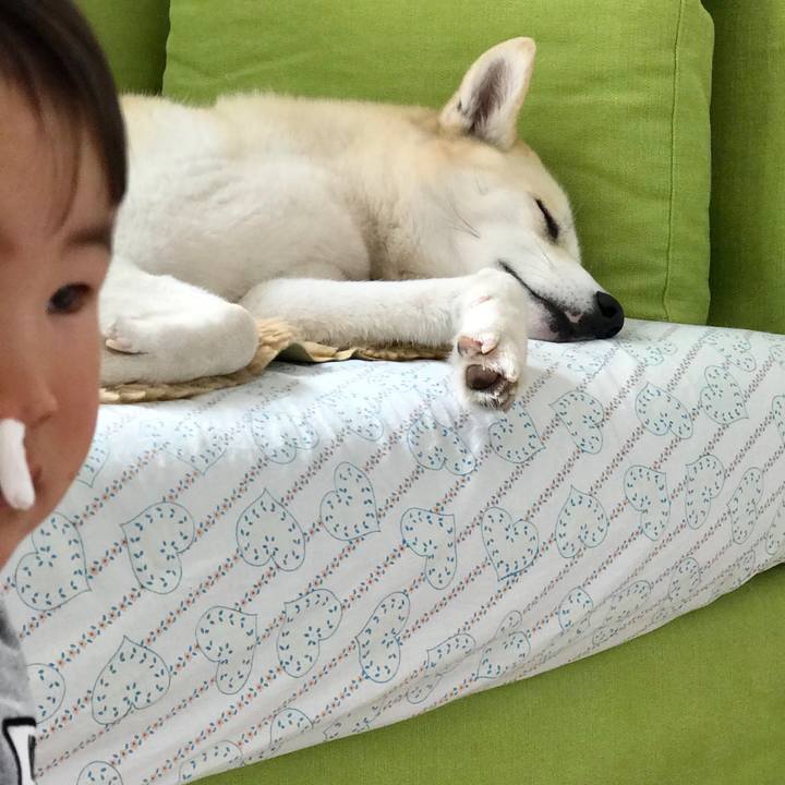 B0dc1701 6072 45c1 9299 4bf5a7751716 1518919968333