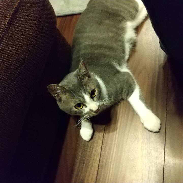 B0dc85e0 dd72 499c a3de dc1afaf95d0c 1597746094046