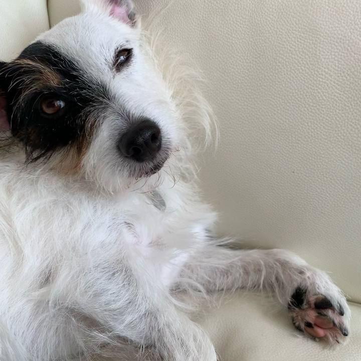 B0dc8ebb 1196 4493 9714 c83e2ef6083f 1602470377161