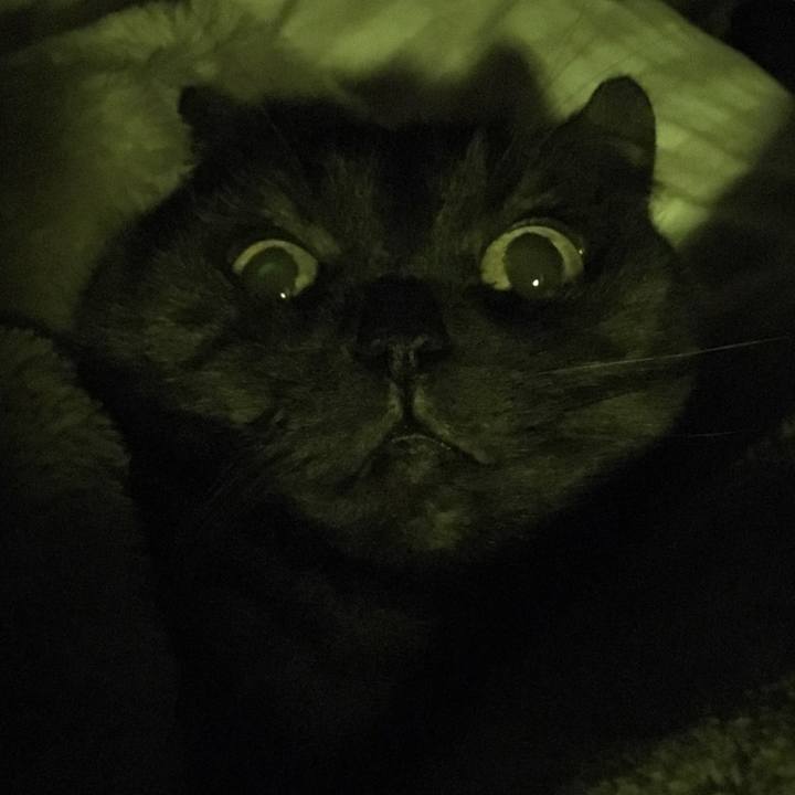 B0dcac29 d1ab 4952 b1ac 9edfe4c05bba 1512663872837