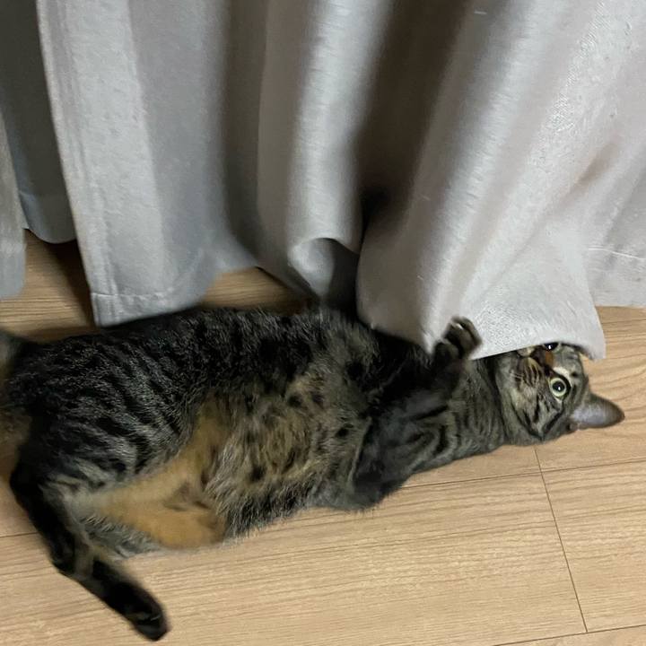 B0dcc2f7 d4c7 4ff6 86f0 c4ec8f2520f4 1681213638745